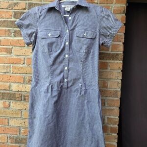 Blue Gingham Button-Front Short Sleeve Mini Dress